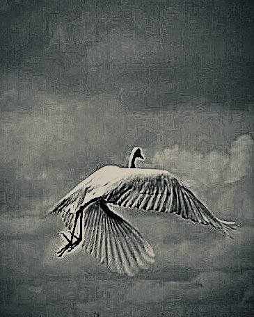 41B45A87-7DE5-45F5-84AB-2C6C53E95B91