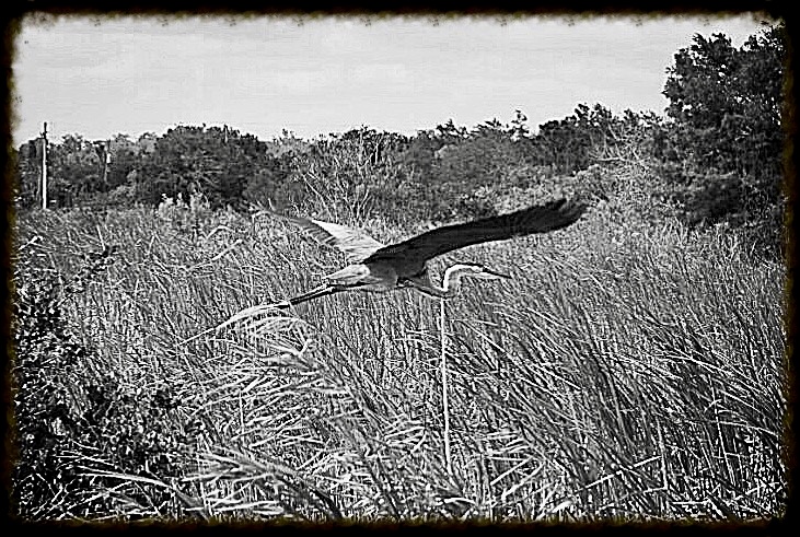 4BE497FD-B049-46BC-A0B0-8A3A90076557