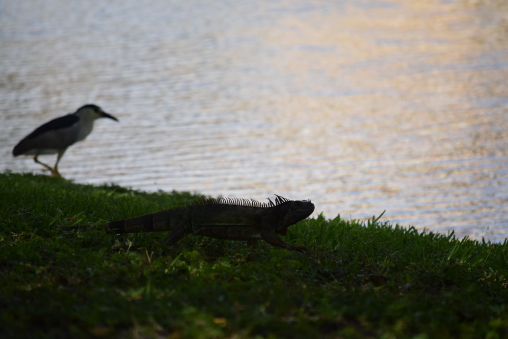 605E63C8-B309-4B1A-AC9E-76140CDAE31F