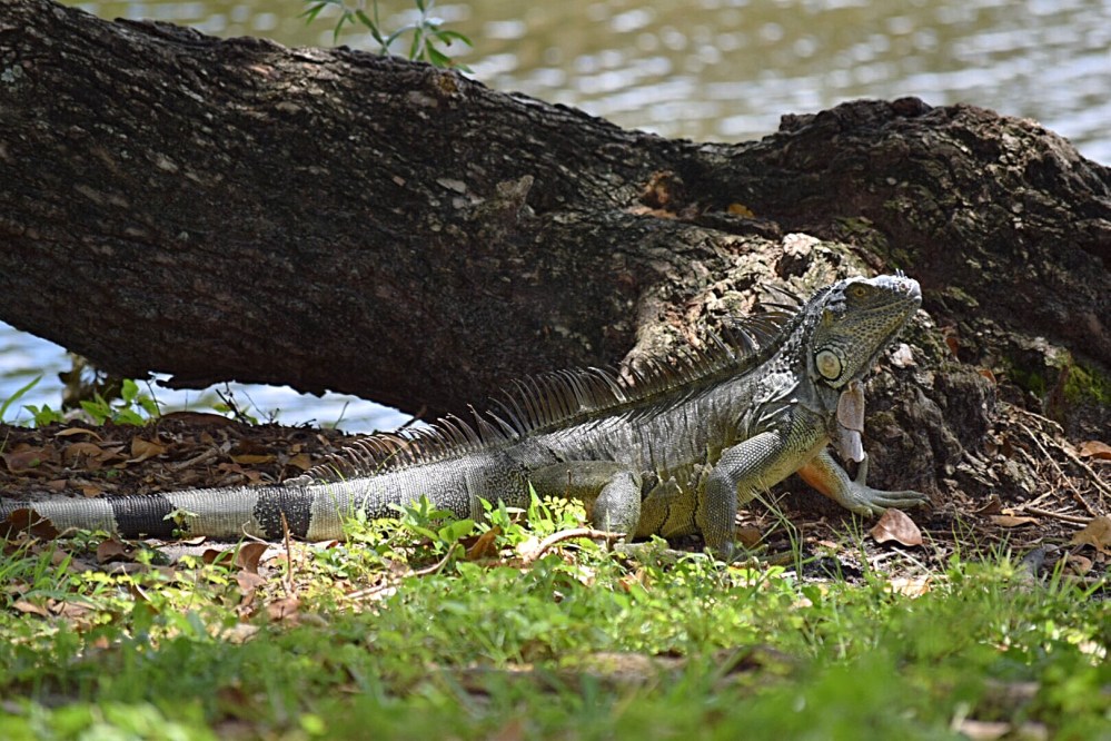 E5D26EA7-7AA9-48D4-812B-093DCD69C7C0